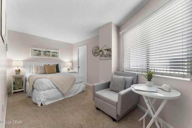 bedroom featuring carpet and a textured ceiling