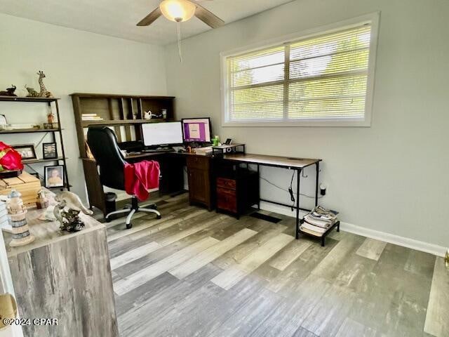 office space with ceiling fan and light hardwood / wood-style flooring