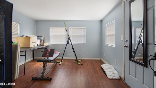 exercise room featuring wood-type flooring and a wealth of natural light