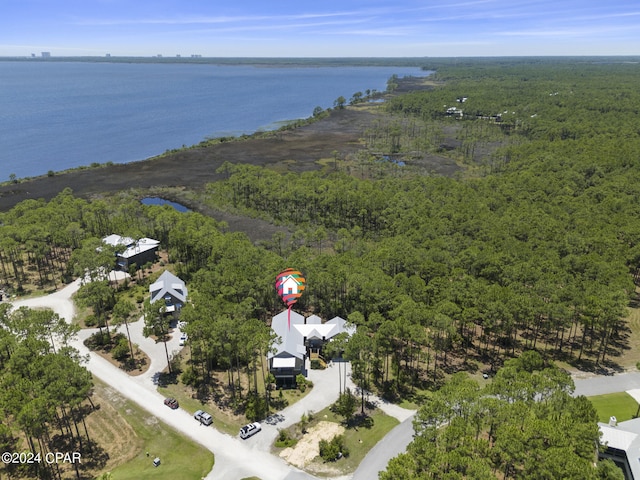 7507 Loons Call Ln, Panama City Beach, FL 32413 - drone / aerial view featuring a forest view and a water view