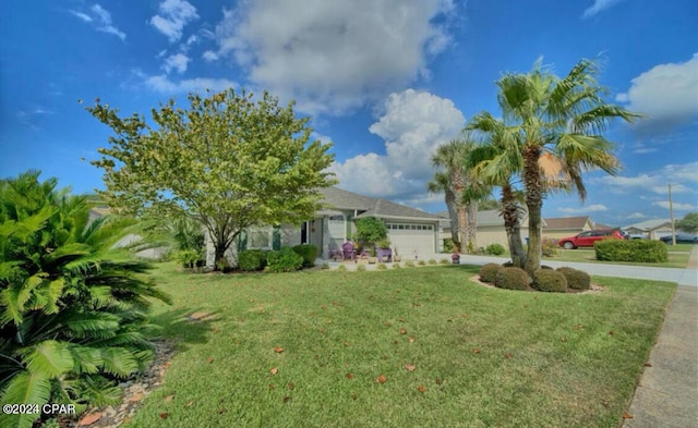 view of front of house with a front yard