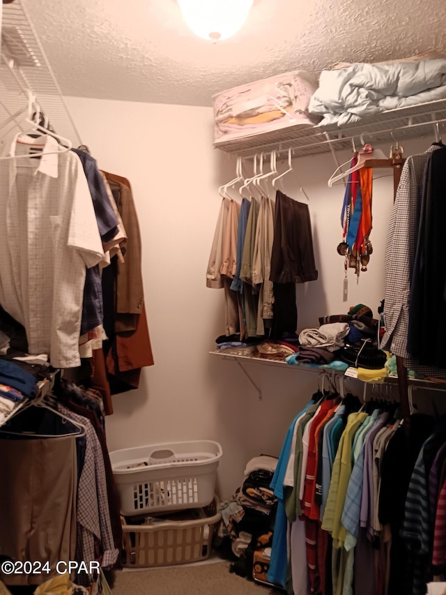 view of walk in closet