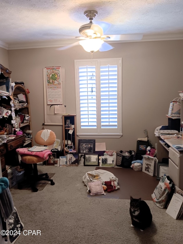 interior space with ceiling fan, carpet, crown molding, and a textured ceiling