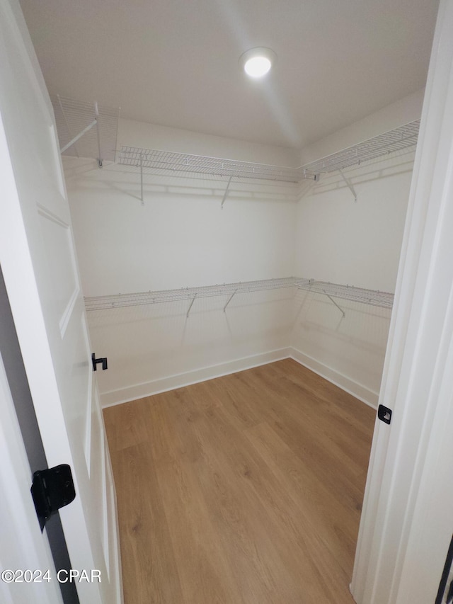 spacious closet featuring hardwood / wood-style floors