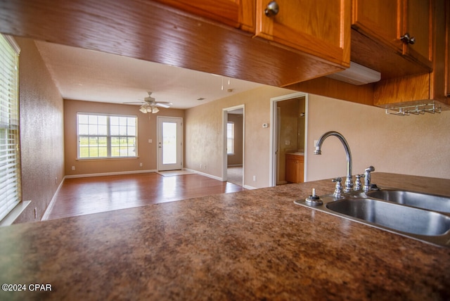 kitchen featuring hardwood / wood-style flooring, sink, and ceiling fan