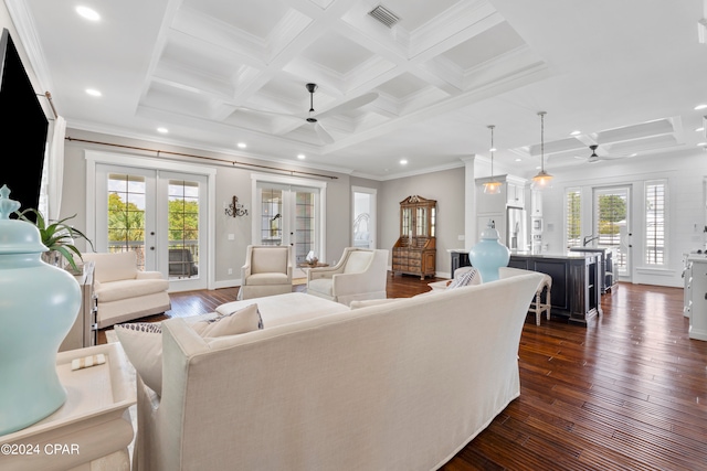 living room with ceiling fan, dark hardwood / wood-style floors, french doors, and plenty of natural light