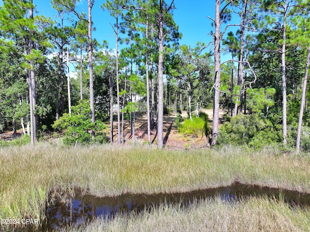 9399 S Burnt Mill Creek Rd, Panama City FL, 32409 land for sale