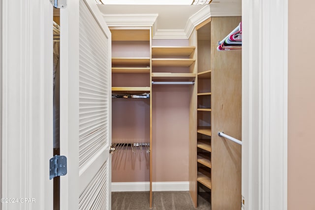 walk in closet featuring dark carpet