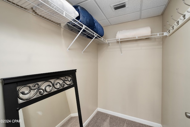 spacious closet featuring carpet floors and a drop ceiling