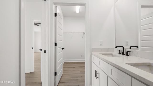 bathroom featuring hardwood / wood-style flooring and vanity