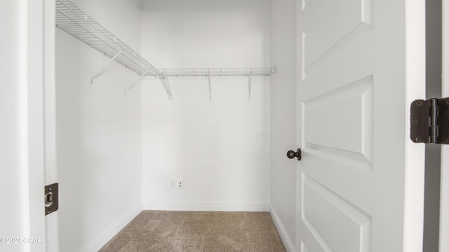 spacious closet with carpet floors