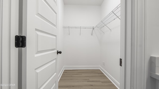 spacious closet featuring light hardwood / wood-style floors