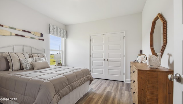 bedroom with a closet and wood-type flooring