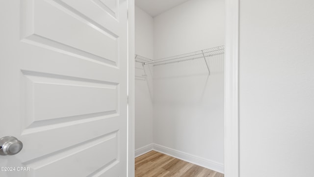 spacious closet with light wood-type flooring