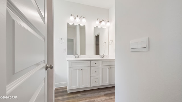 bathroom featuring wood-type flooring and vanity