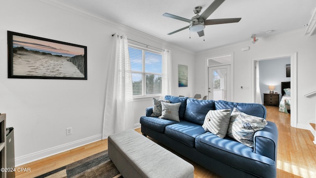 living room with crown molding, ceiling fan, and hardwood / wood-style flooring