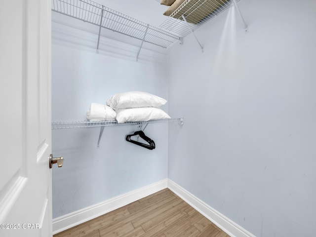 spacious closet featuring wood finished floors