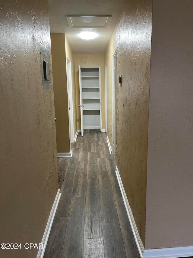 corridor featuring dark hardwood / wood-style flooring