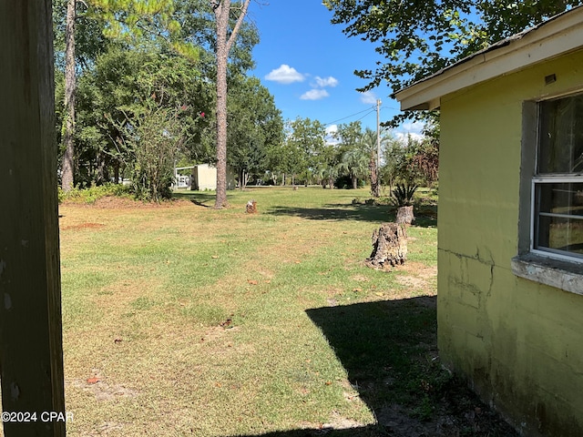 view of yard