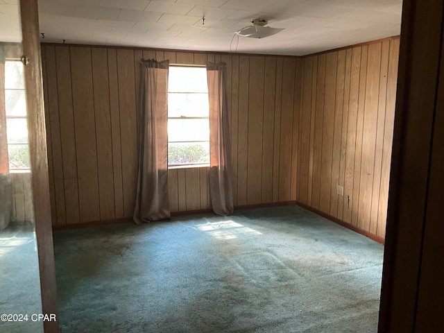 carpeted empty room featuring wooden walls