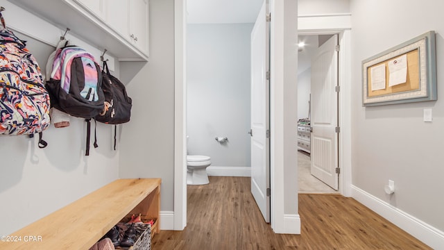 mudroom featuring light hardwood / wood-style floors