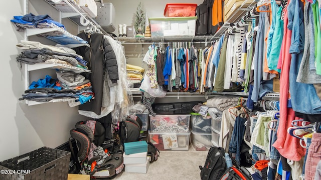 walk in closet featuring carpet