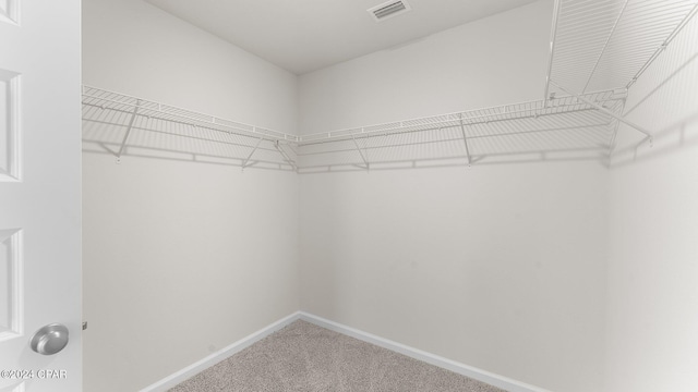 walk in closet featuring carpet floors