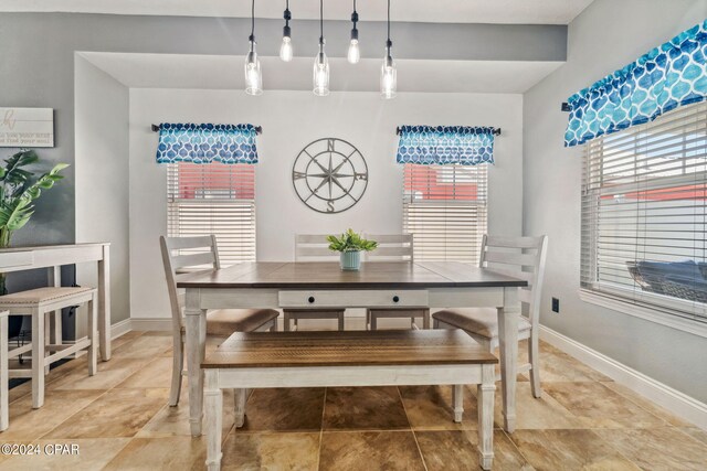 dining room with plenty of natural light