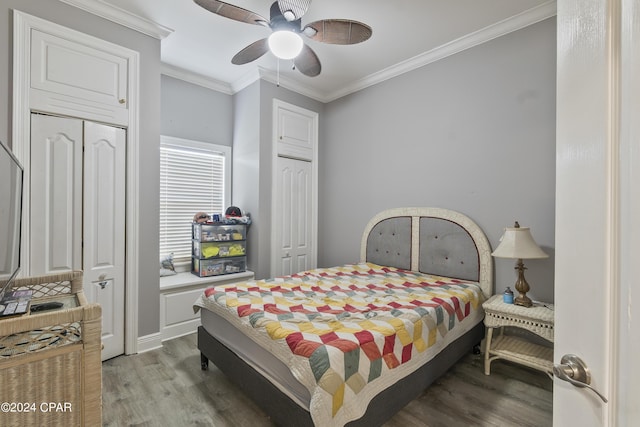 bedroom with ceiling fan, crown molding, light wood-style flooring, and two closets