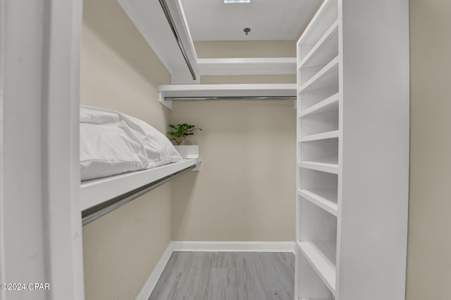 spacious closet featuring hardwood / wood-style flooring