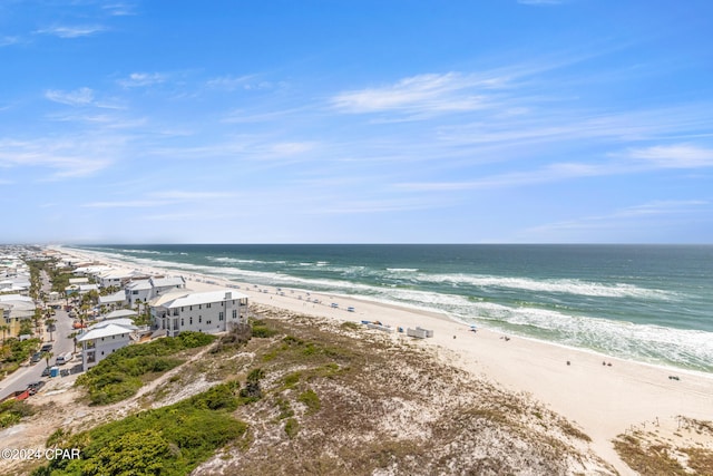 water view featuring a beach view