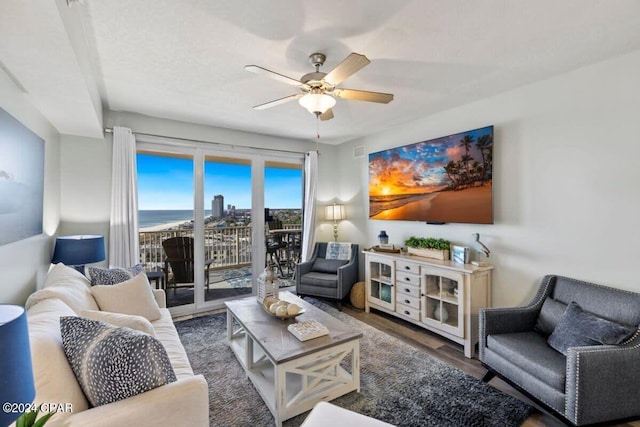 living room with ceiling fan and hardwood / wood-style floors