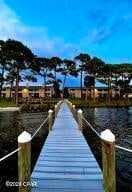 dock area with a water view