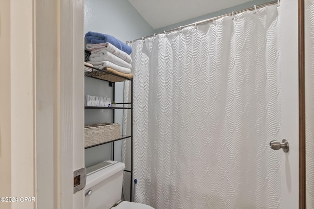 bathroom with toilet and vaulted ceiling