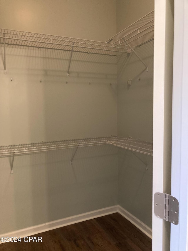 spacious closet with dark wood-type flooring