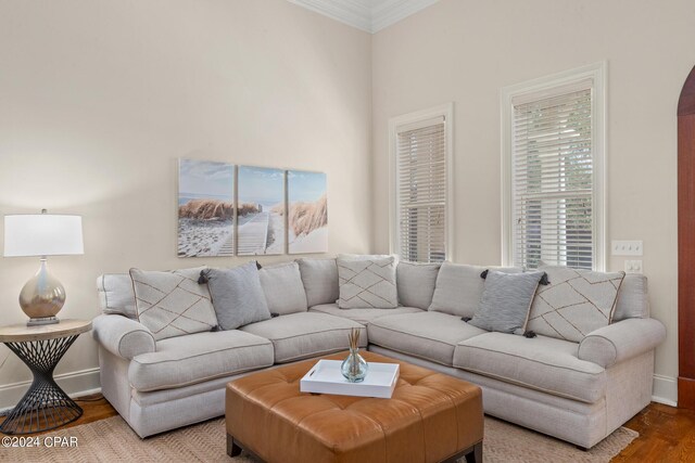 living room with crown molding and wood-type flooring