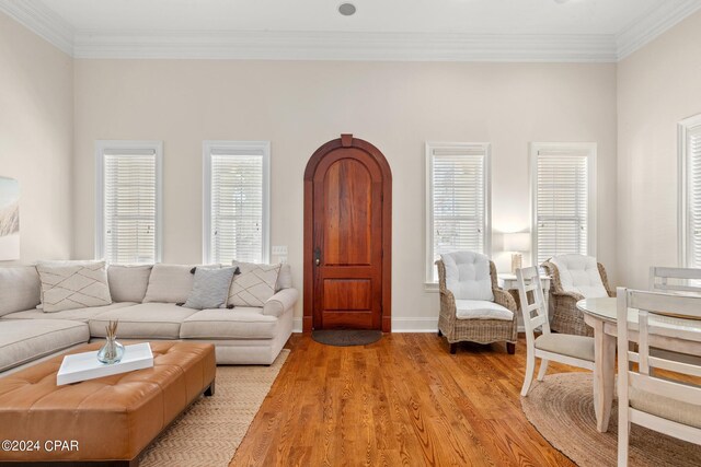 living room featuring crown molding, light hardwood / wood-style floors, and a wealth of natural light