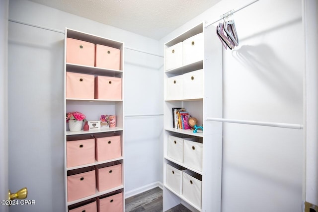 spacious closet featuring dark wood-type flooring