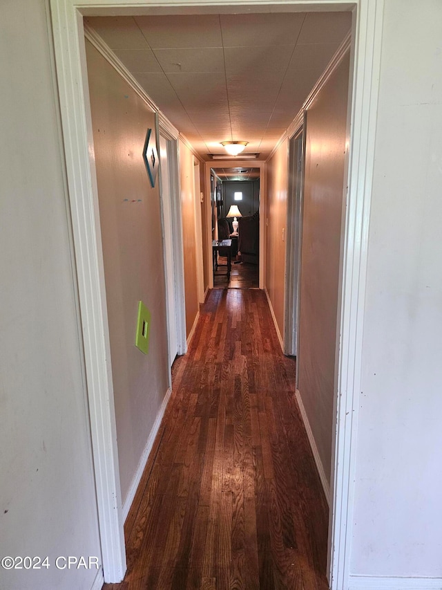 hallway featuring ornamental molding and dark hardwood / wood-style flooring