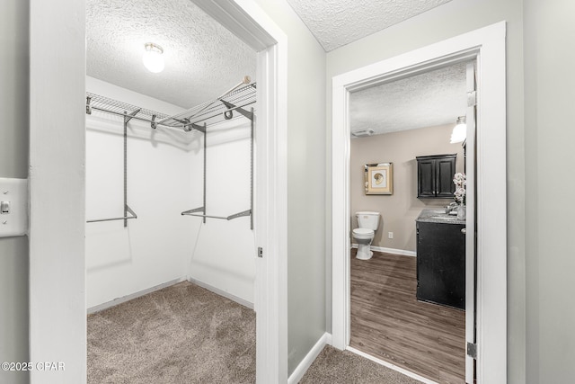 spacious closet with sink and dark colored carpet