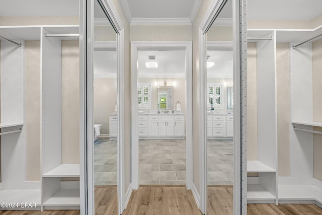 walk in closet with light hardwood / wood-style floors