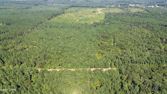 00 Knox Hill Rd, Ponce De Leon FL, 32455 land for sale