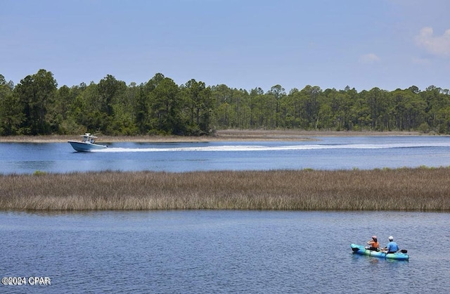 property view of water