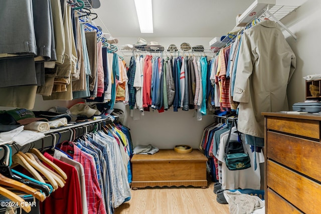 spacious closet with light wood-type flooring