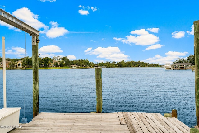 dock area with a water view