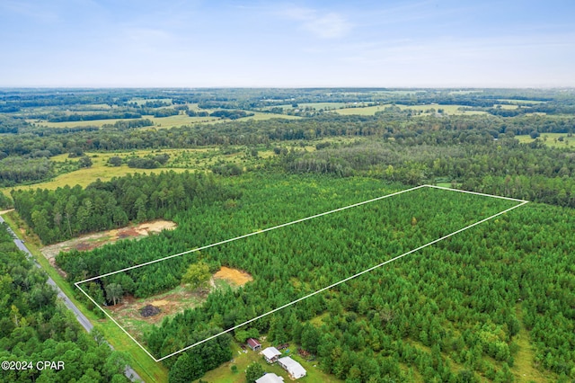 LOT2 Reddick Mill Rd, Graceville FL, 32440 land for sale