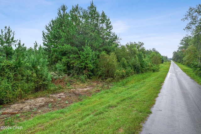 Listing photo 2 for LOT2 Reddick Mill Rd, Graceville FL 32440