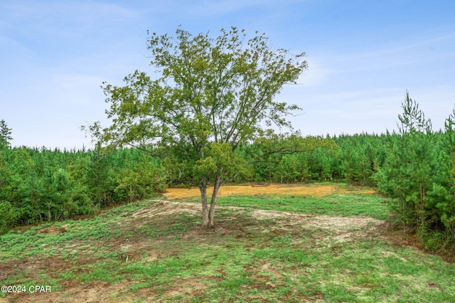 Listing photo 3 for LOT2 Reddick Mill Rd, Graceville FL 32440