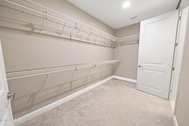 walk in closet featuring carpet