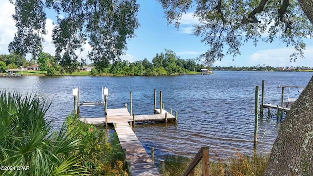 dock area with a water view